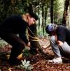 3 Pictures - 1988 Festival Camp, setting traps